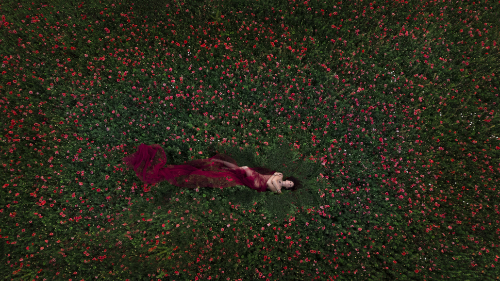 Bouclier macabre ALYSSIA ROELANDT - Lily Stoneheart