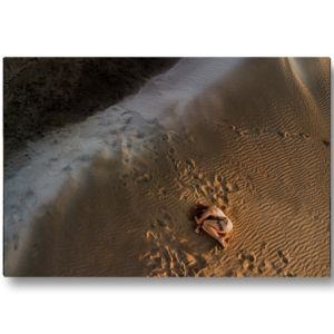 gruissan-print-playa